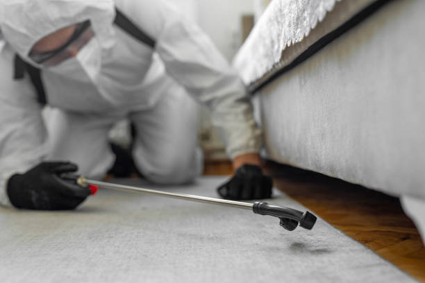 Professional Bed Bug Control technician working in Lake of the Woods, IL