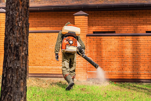Trusted Termite Control service in Lake of the Woods, IL - Nex Pest Control